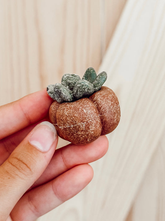 Dental Veggie Chews