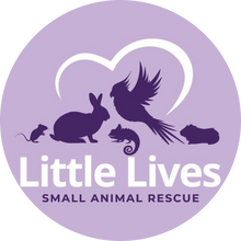 Little Lives Rescue
