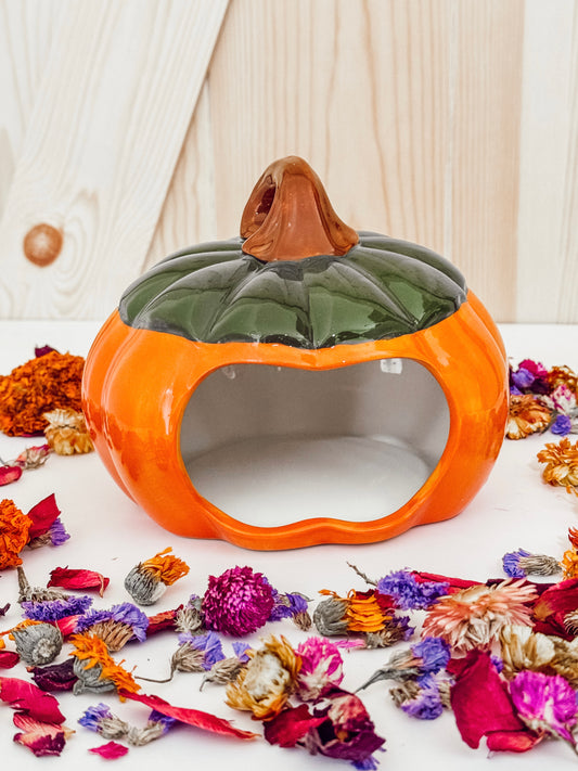 Ceramic Pumpkin Hide