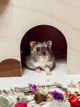 Load image into Gallery viewer, Juliet Balcony — Multi-Chamber Hide
