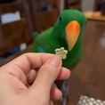 Load image into Gallery viewer, Yummy Veggie Bites (50g)
