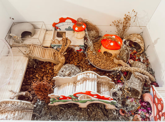 Mushroom Platform Hide