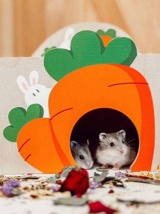 Carrot Platform Apartment