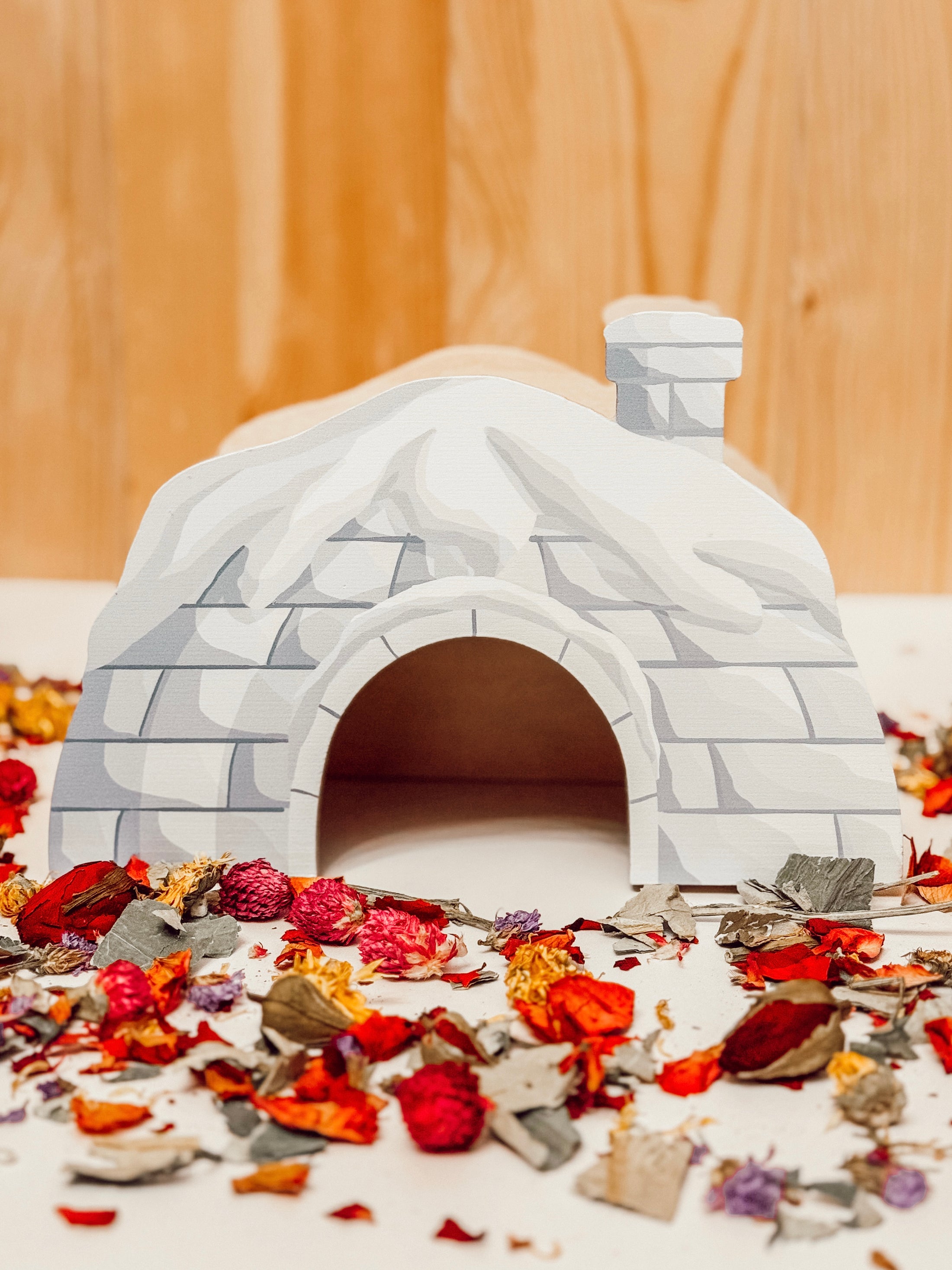 Snowy Igloo Hideaway