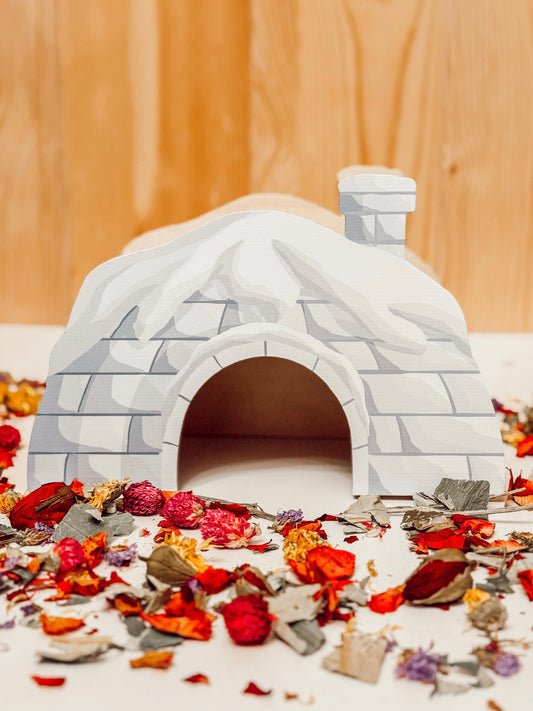 Snowy Igloo Hideaway