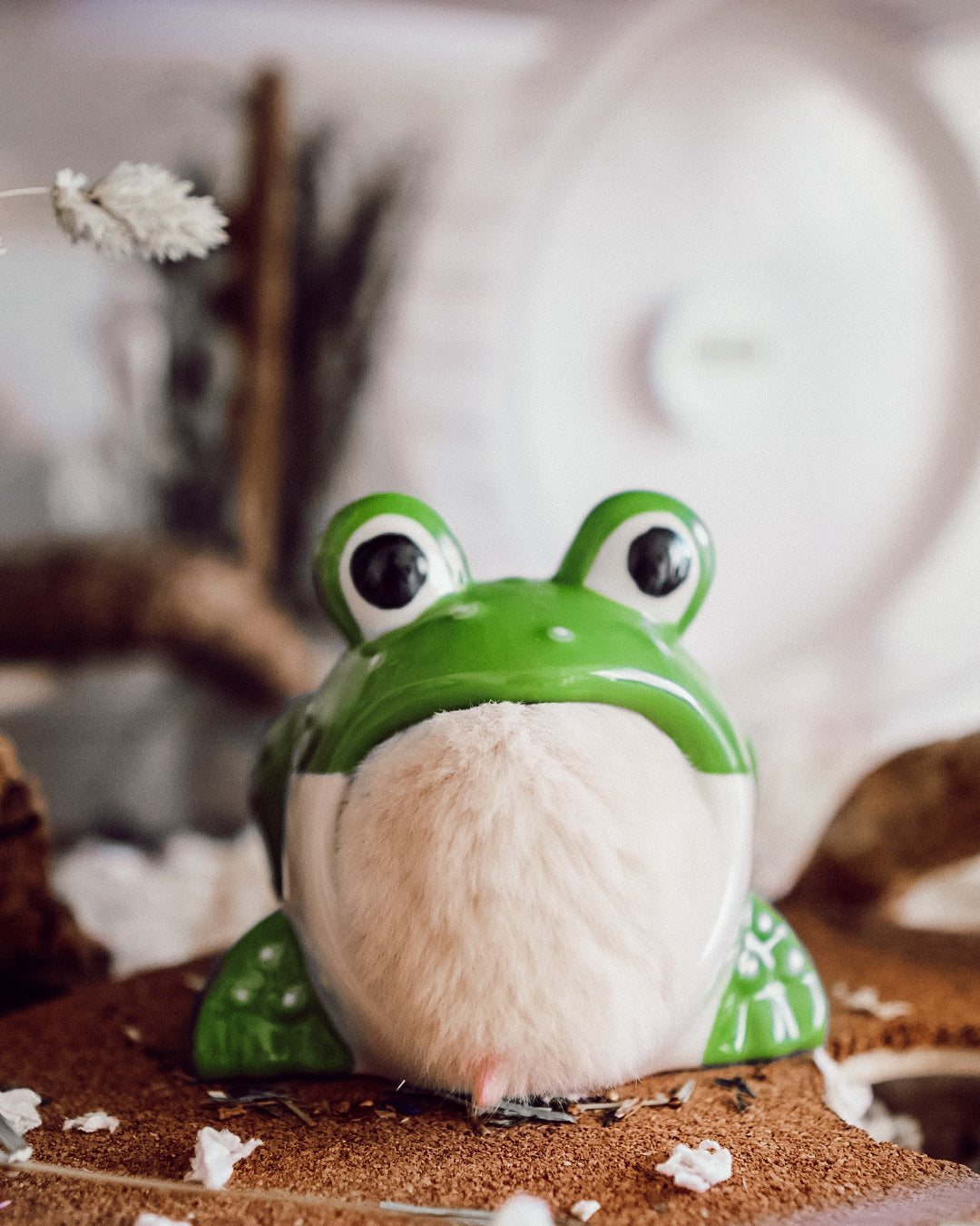 Ceramic Frog Hide