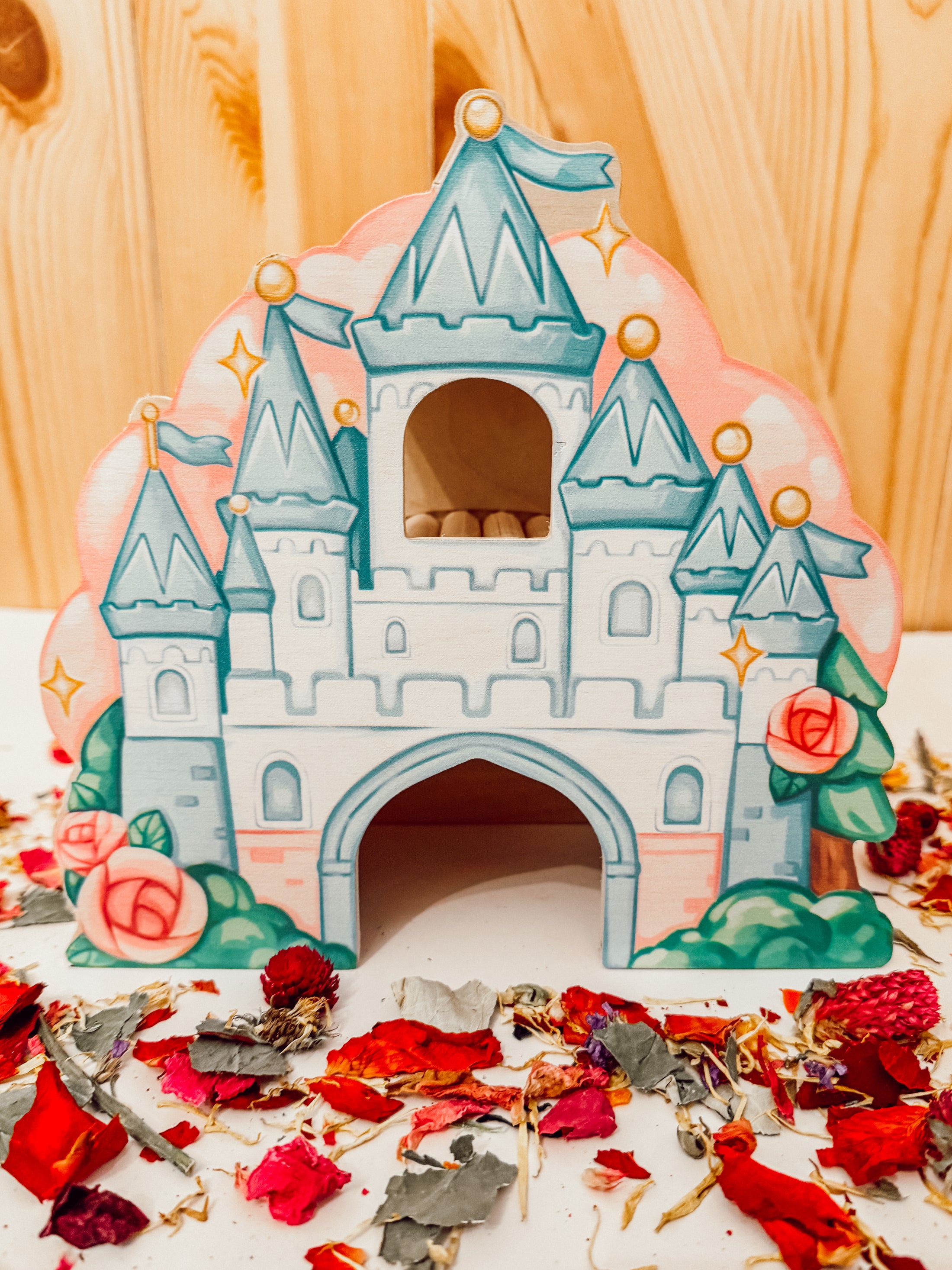 Cinderella’s Castle