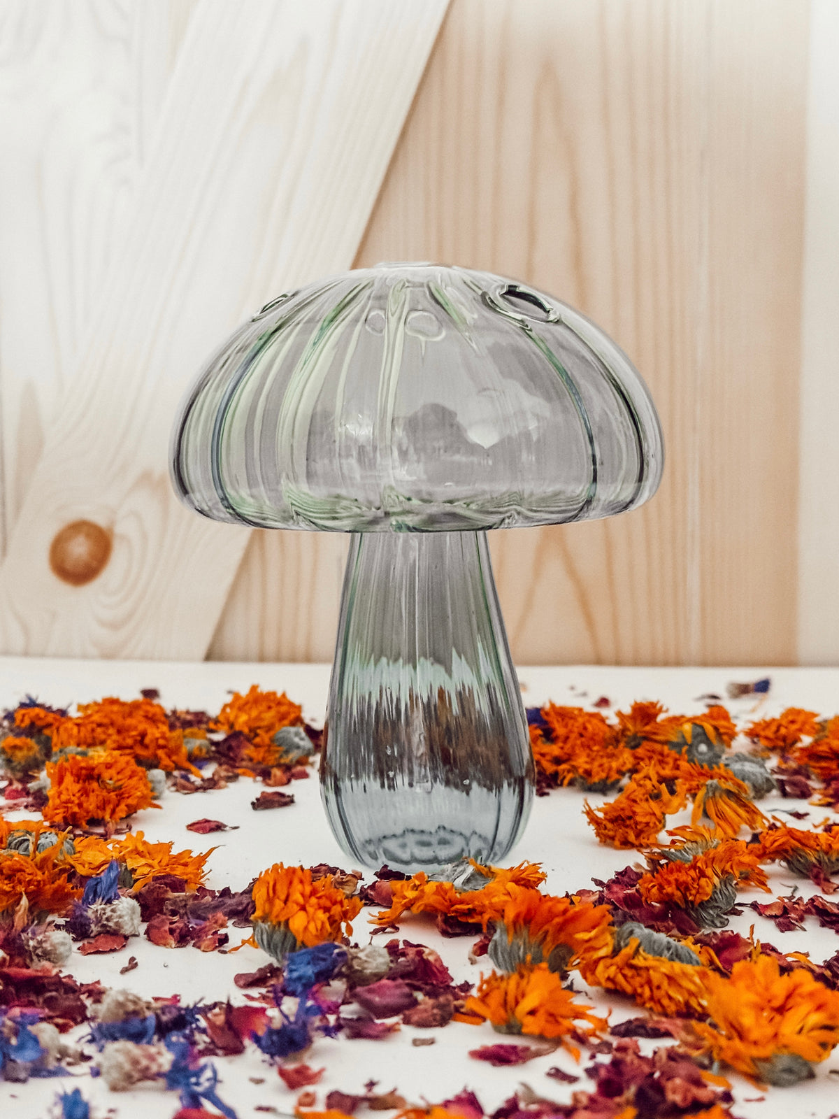 Dusty Blue Mushroom Spray Holder