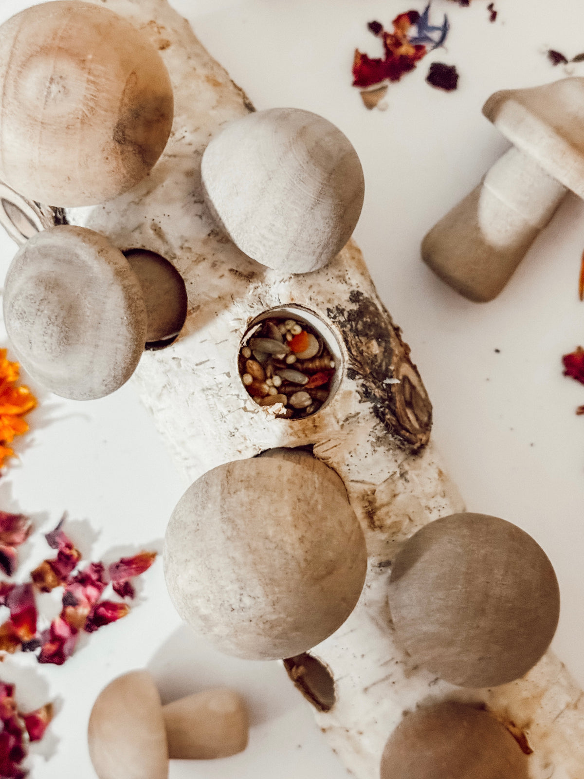 Mushroom Forage Puzzle Toy