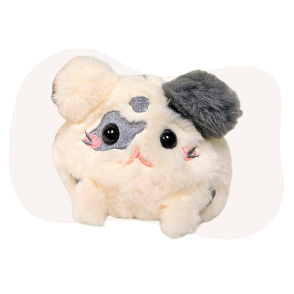 Choose Your Hamster