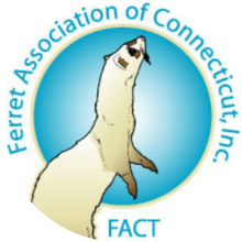 Ferret Association of Connecticut