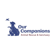 Our Companions Animal Rescue