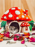 Load image into Gallery viewer, Mushroom Hamster Cottage
