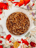 Load image into Gallery viewer, Dried Mealworm Treats (75g)
