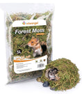 Load image into Gallery viewer, Forest Moss (5L)
