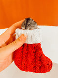 Load image into Gallery viewer, Mini Hamster Christmas Stocking
