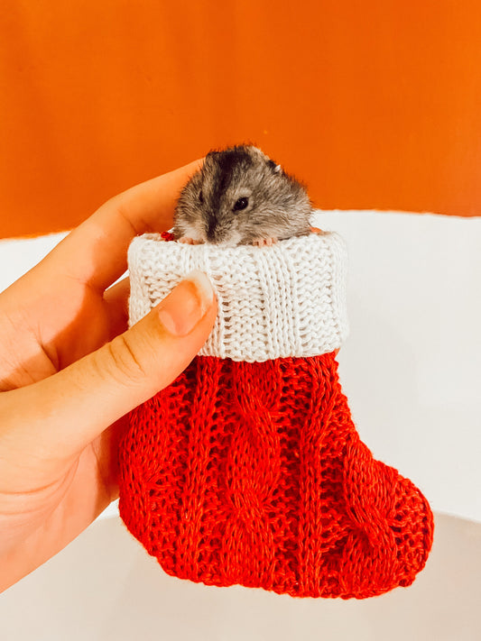 Mini Hamster Christmas Stocking