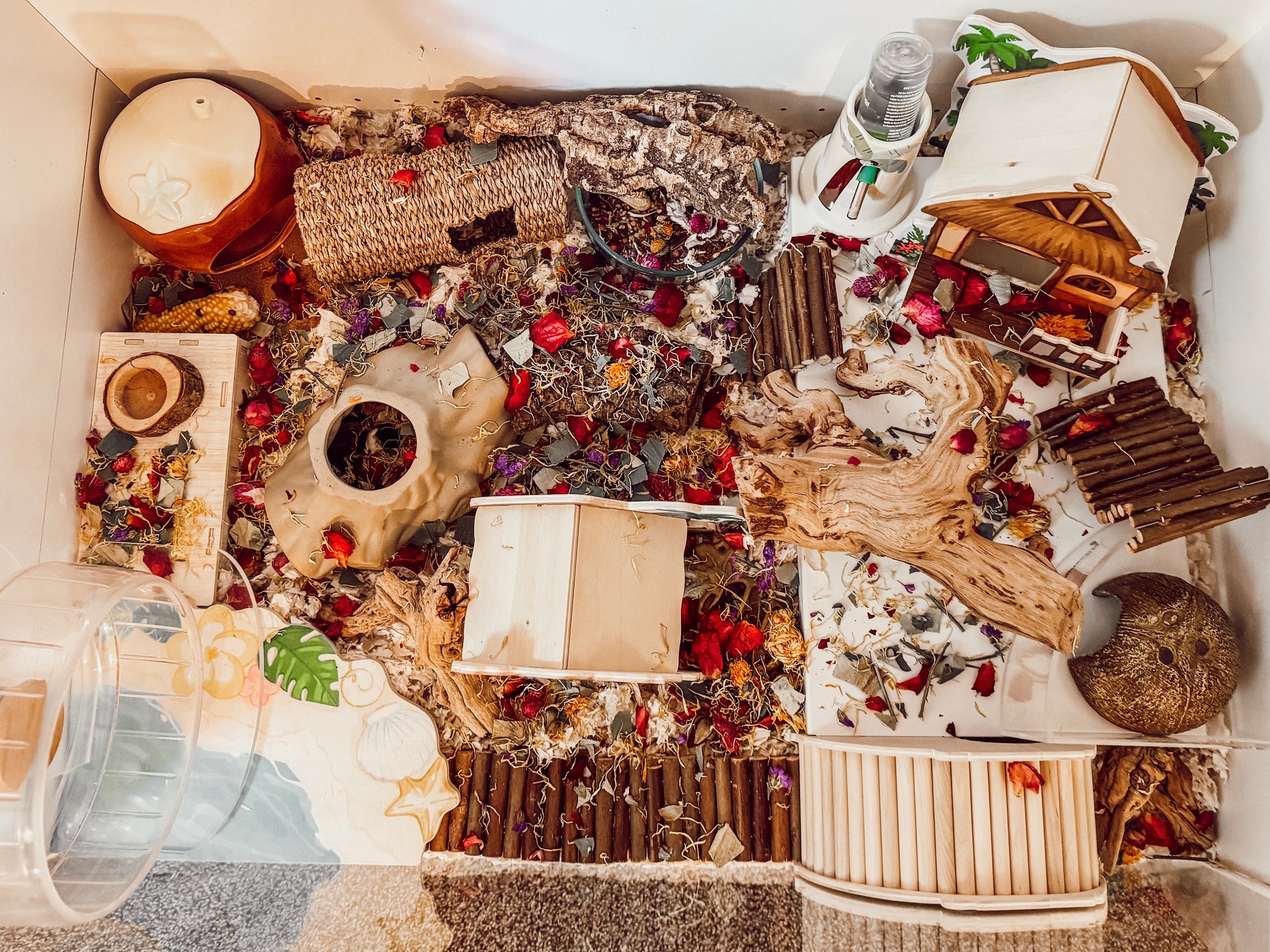 Coconut Ceramic Hide
