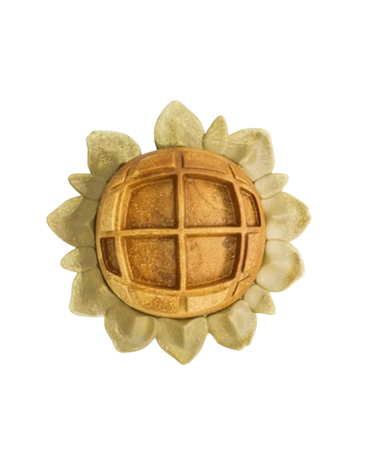 Sunflower Chew & Edible Food Dish