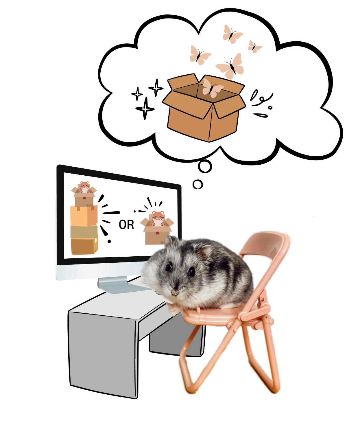 Hamster Subscription Box – HAPPY HAMSTERY