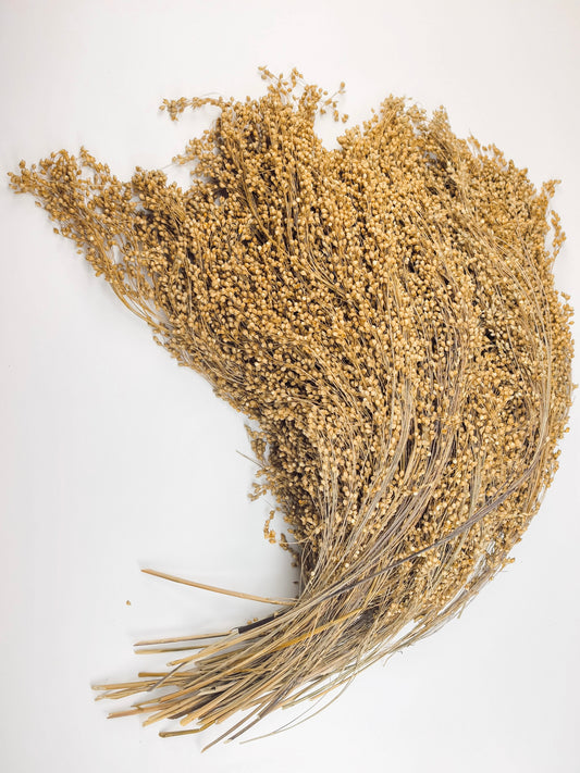 Broom Millet in Bulk (500g)