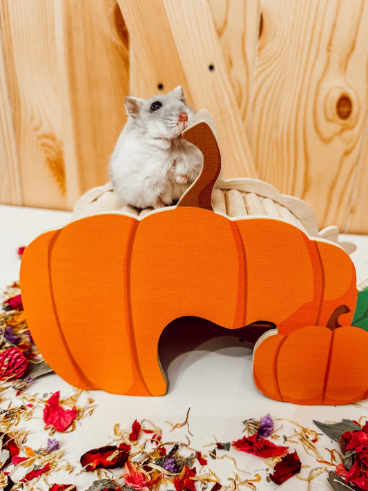 Pumpkin Patch Hide