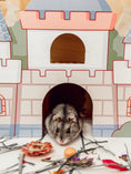 Load image into Gallery viewer, Magical Kingdom Castle
