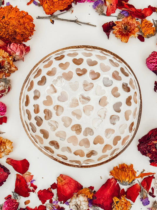 Heart Shape Coconut Dig Bowls