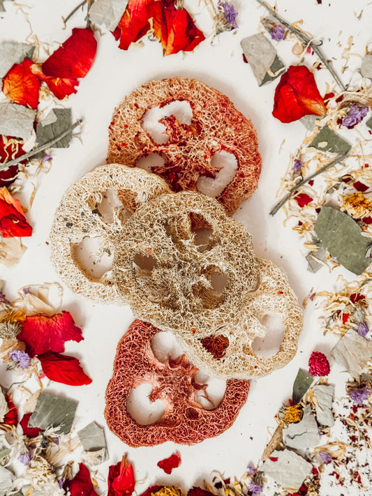 Loofah Variety Pack (5pcs)
