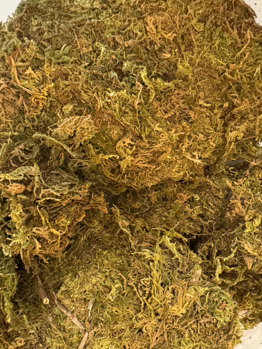 Natural Forest Moss (150g)