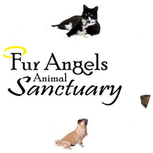 Fur Angels Sanctuary