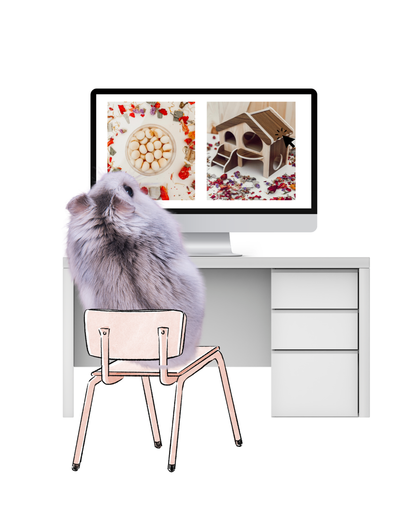 Hamster Subscription Box – HAPPY HAMSTERY