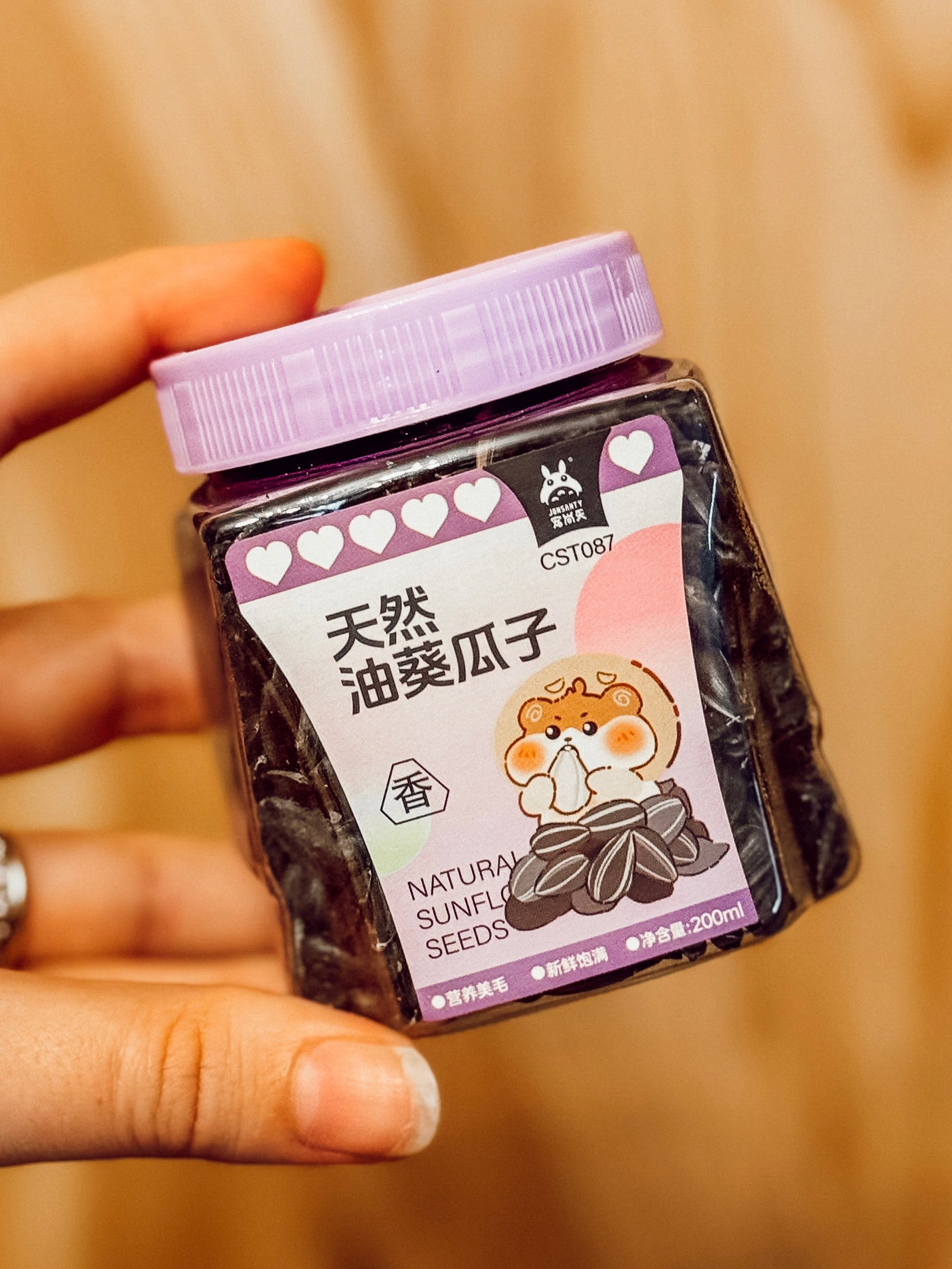 Raw Sunflower Seed Treats (100g)