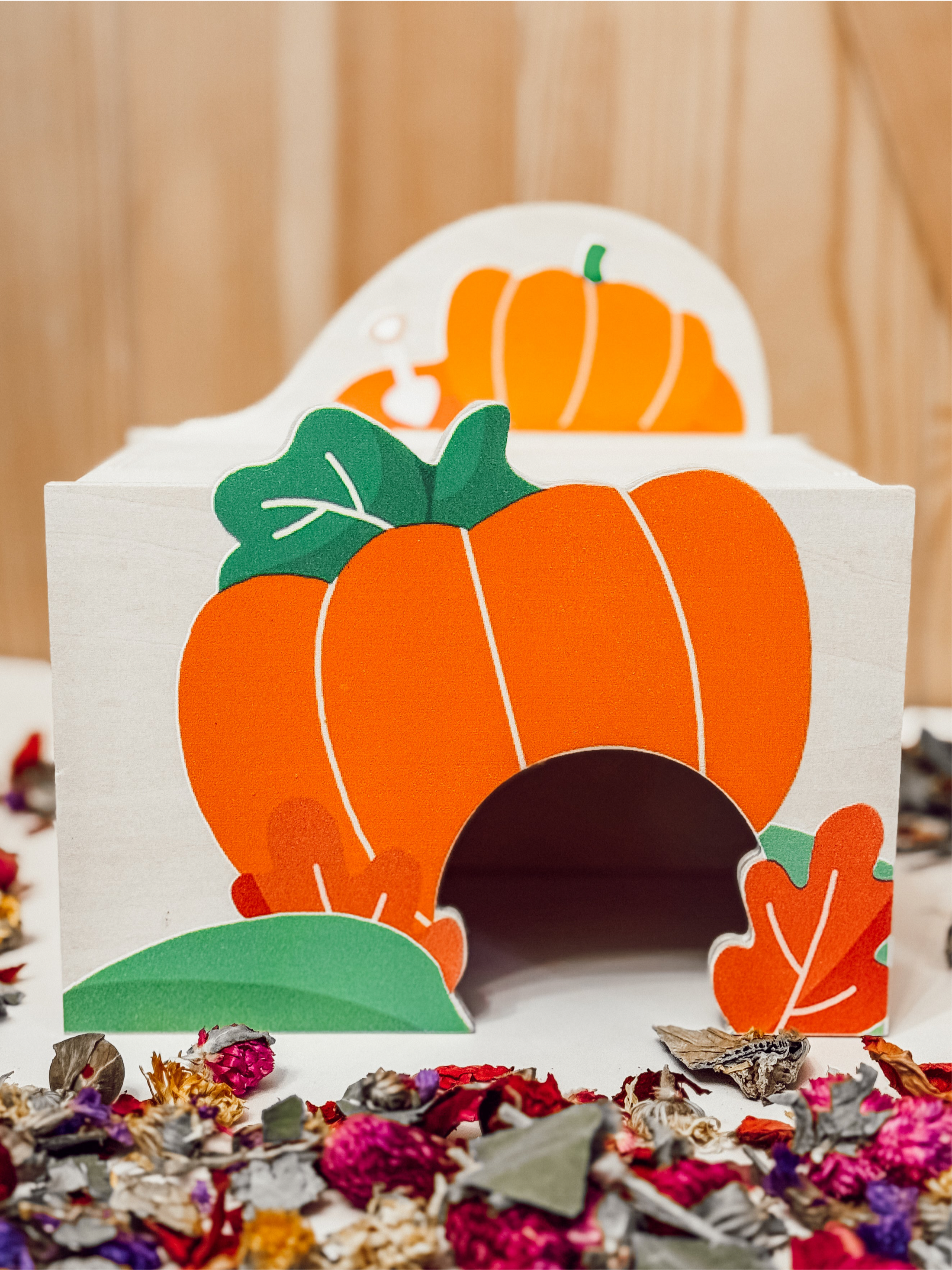 Pumpkin Platform Apartment