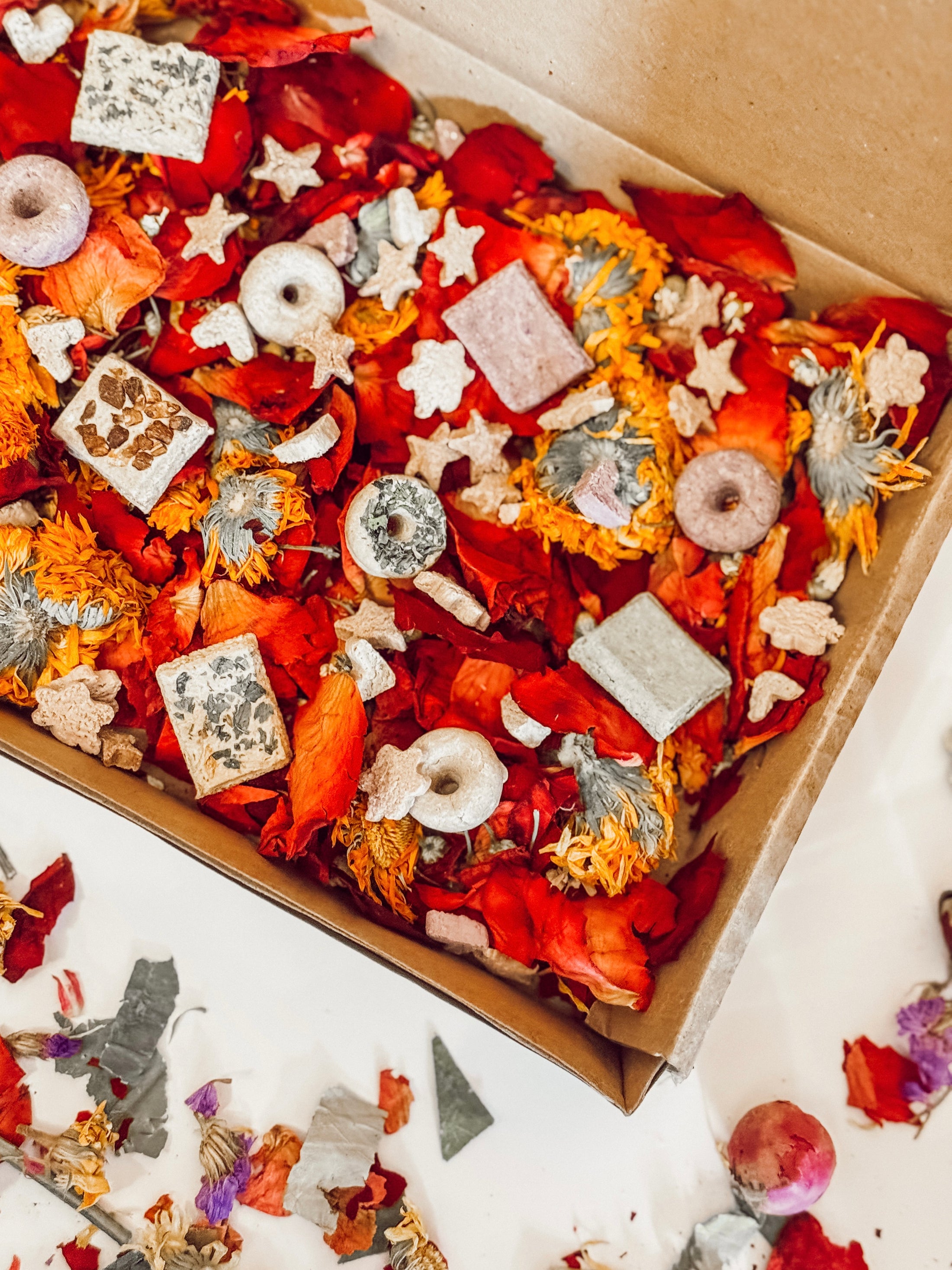 Winter Cookie Forage Box