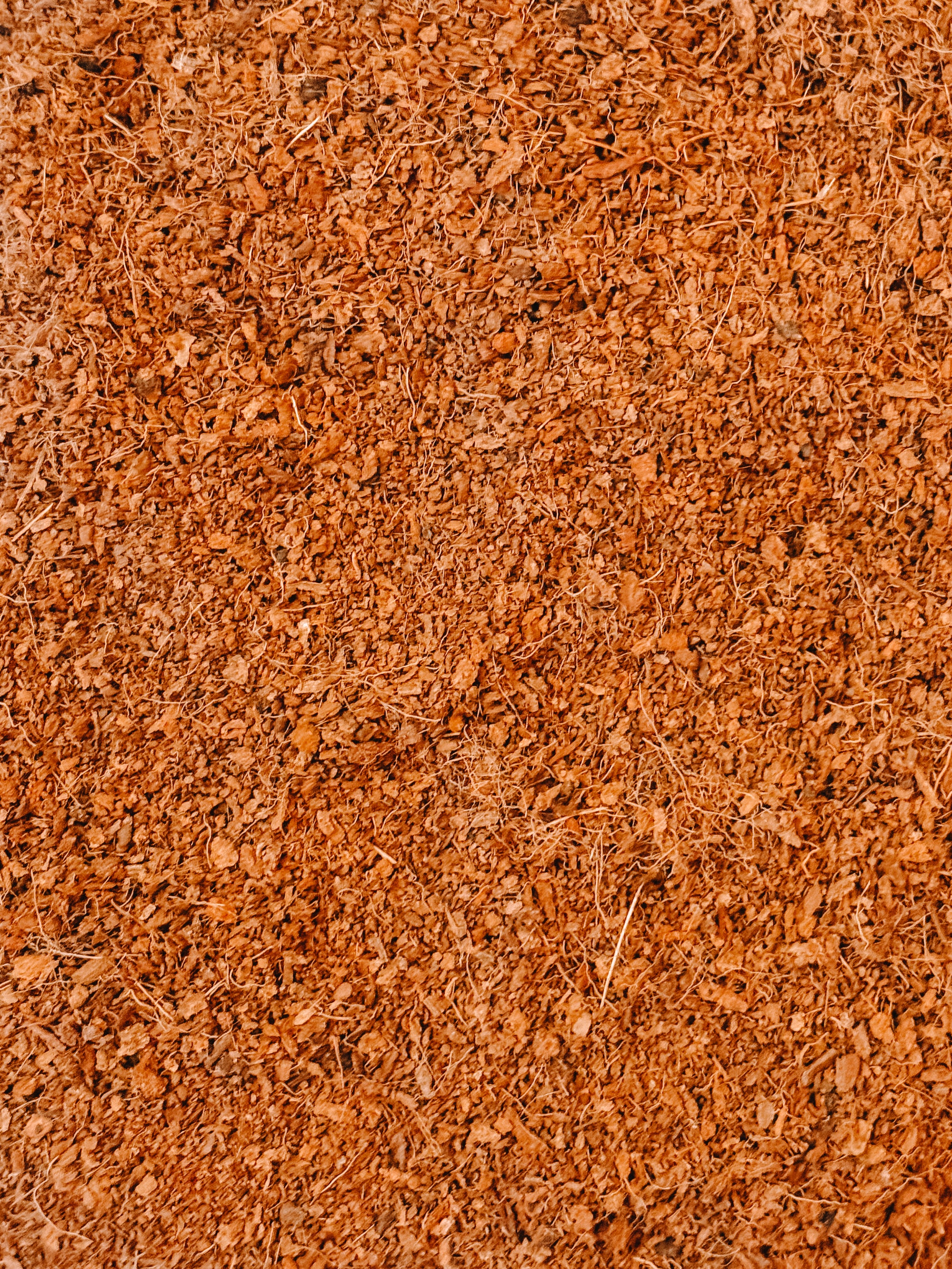 Coco Soil Bedding (4L)