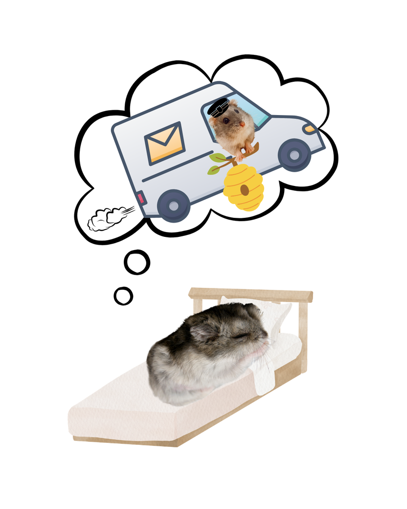 Hamster Subscription Box – HAPPY HAMSTERY
