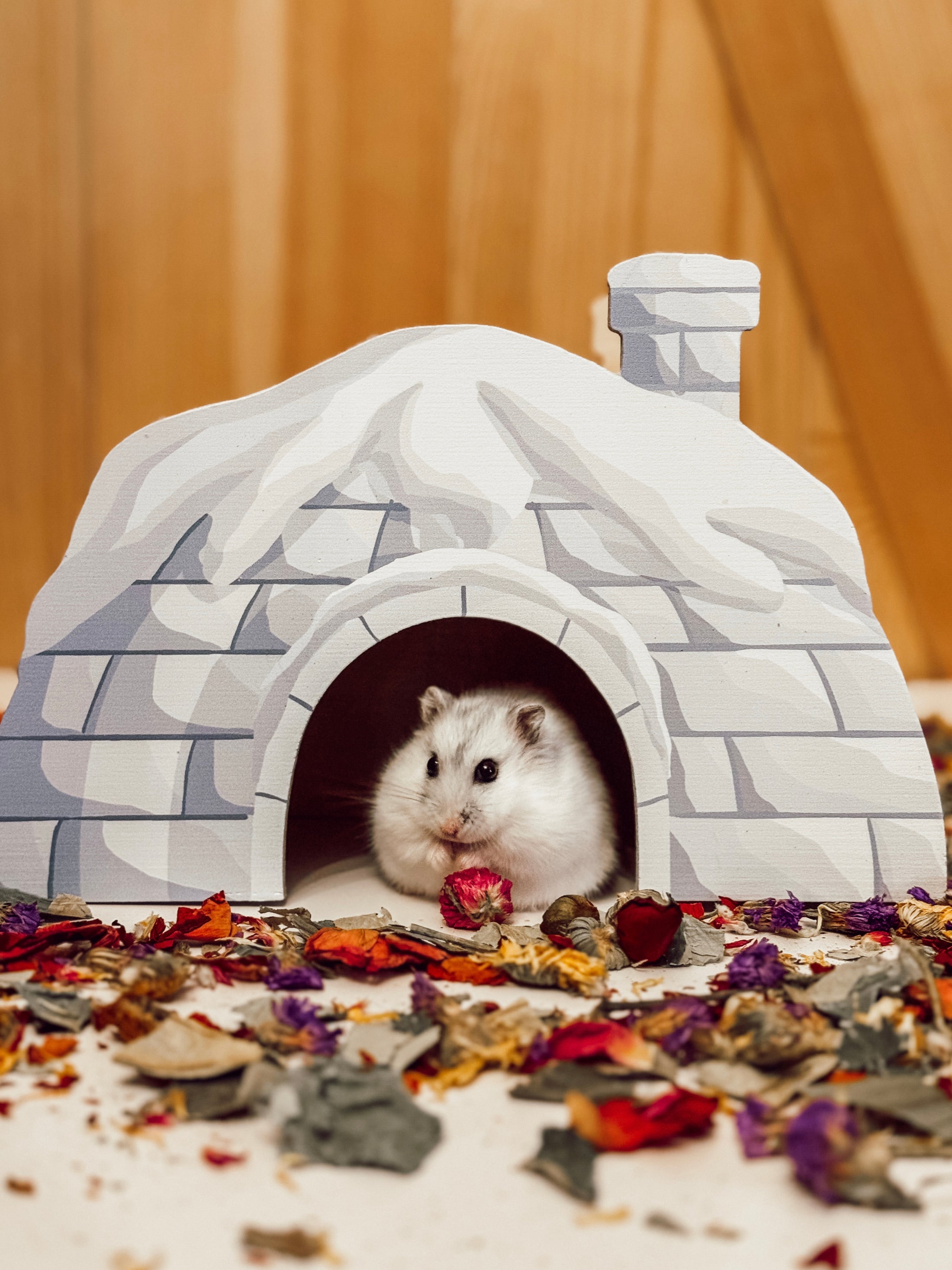 Snowy Igloo Hideaway