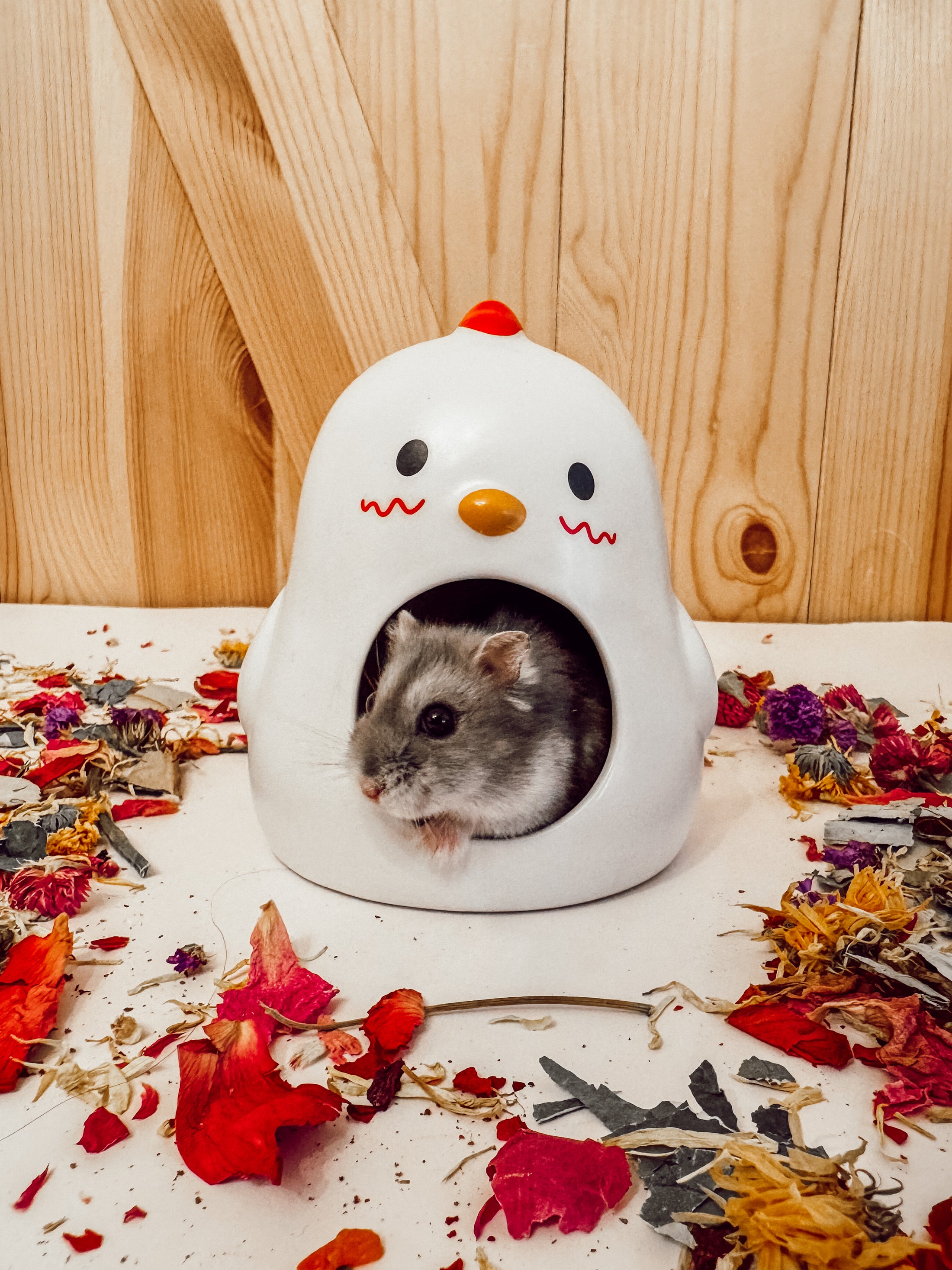 Chickity Dwarf Ceramic Hide