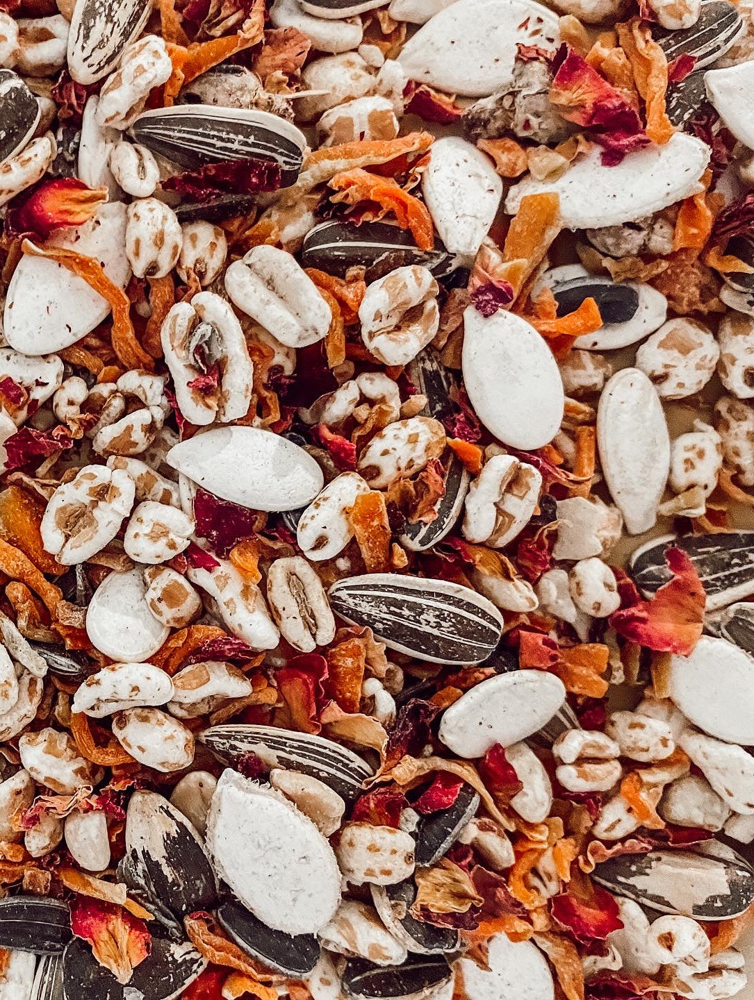 Pumpkin Spice & Puffy Rice Treat Mix (50g)