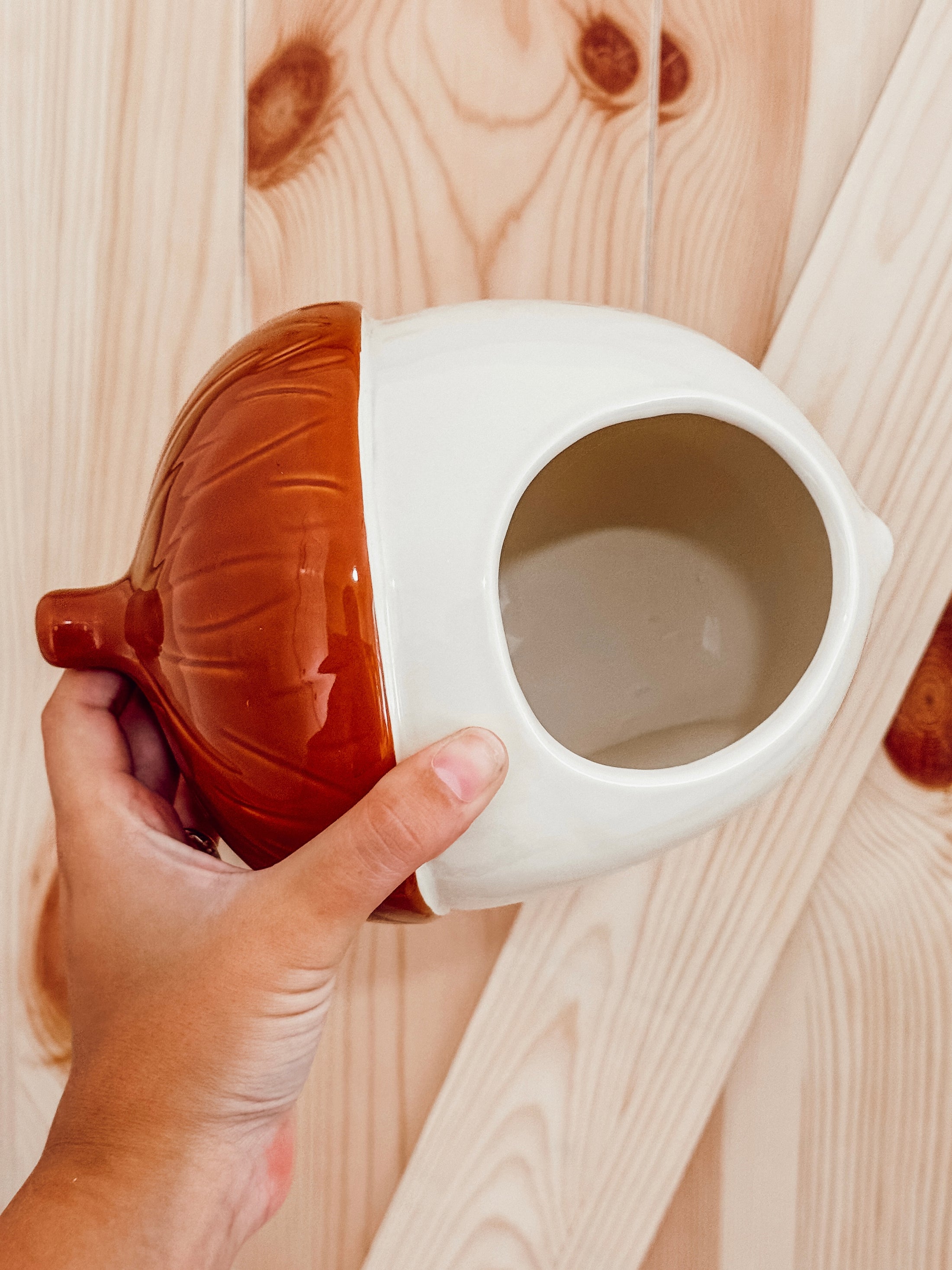 Glazed Ceramic Acorn Hide