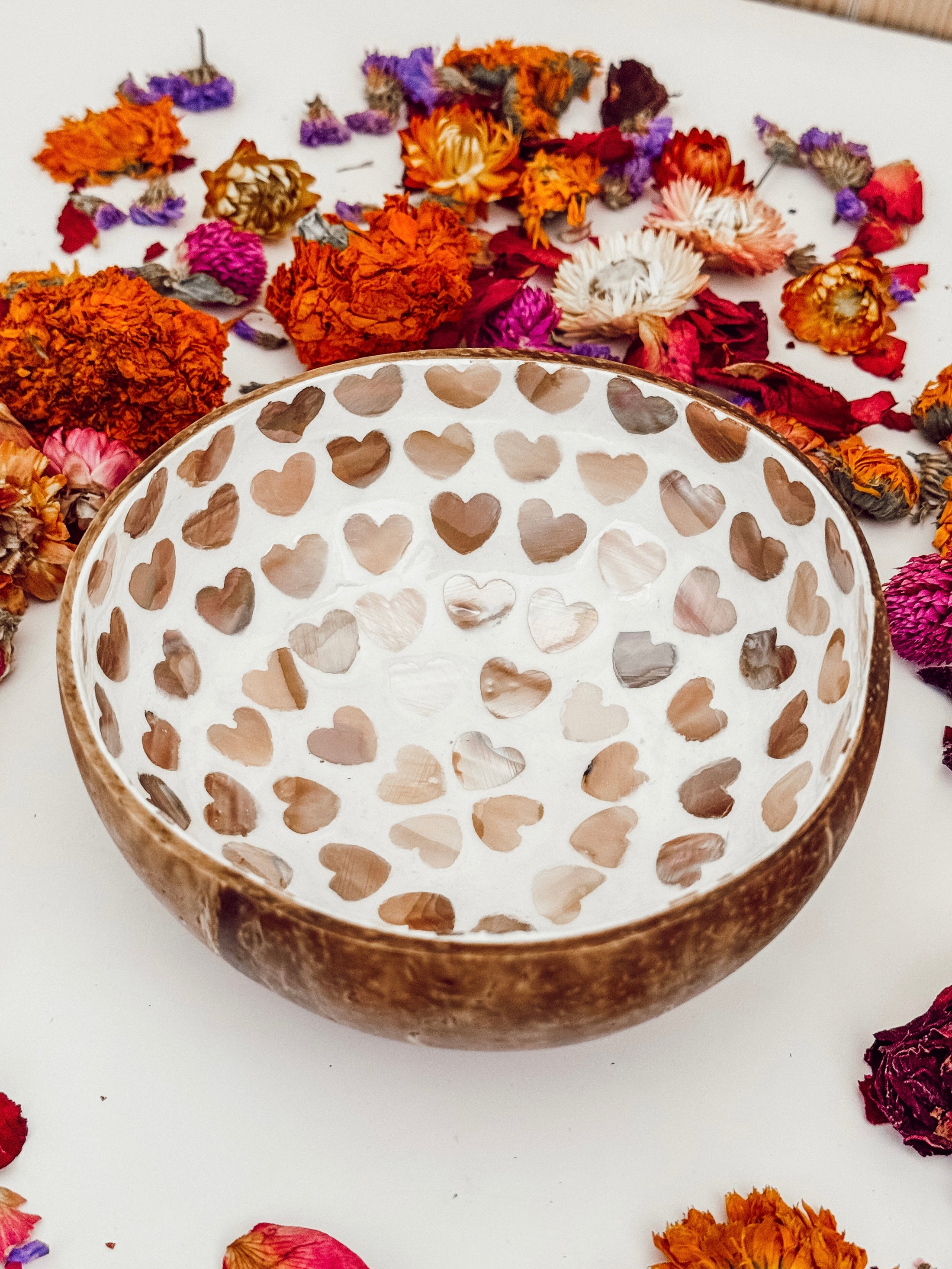 Heart Shape Coconut Dig Bowls