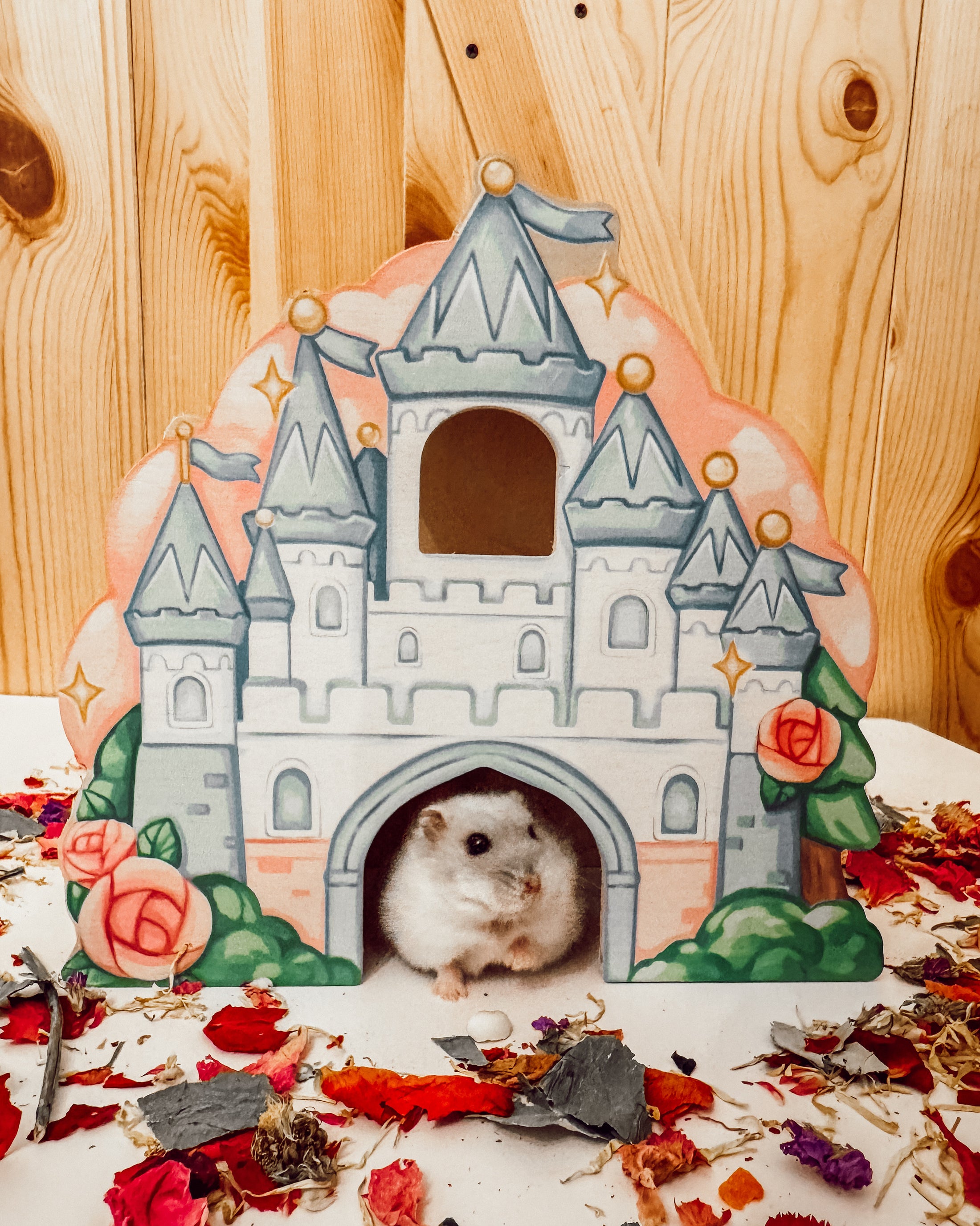 Cinderella’s Castle