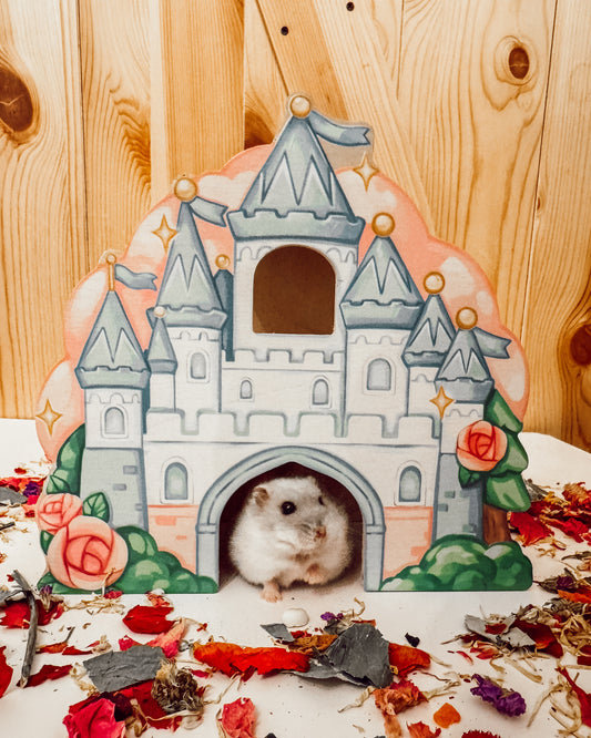 Cinderella’s Castle