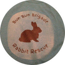 Bun Bun Brigade