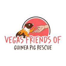 Vegas Friends of Guinea Pig Rescue