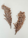 Load image into Gallery viewer, White Sorghum (2-Pack)
