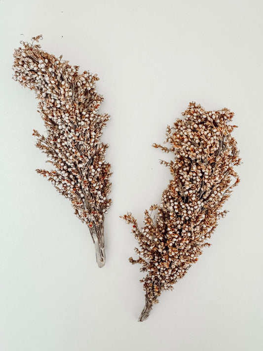 White Sorghum (2-Pack)