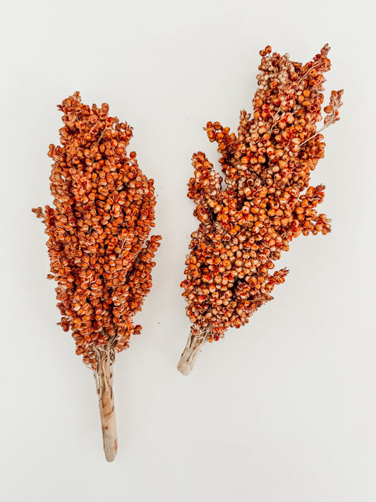 Red Sorghum (2-Pack)