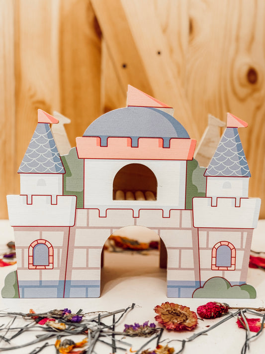 Magical Kingdom Castle